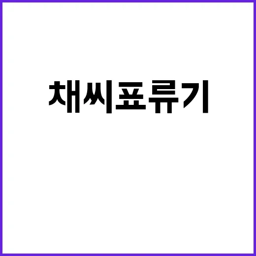 채씨표류기