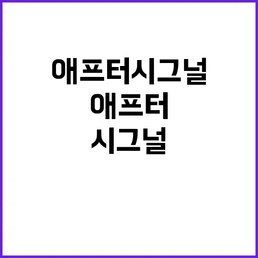 애프터시그널