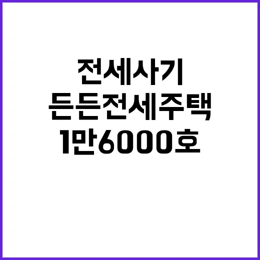 전세사기 예방 1만 6000호 든든전세주택 공급!