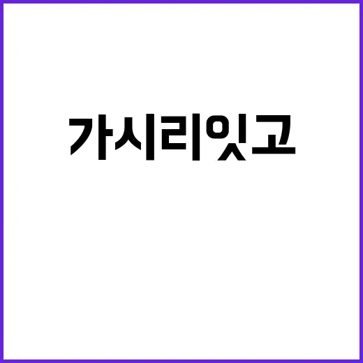 가시리잇고