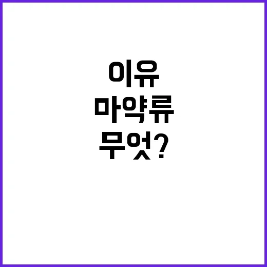 마약류 통계 공개 …