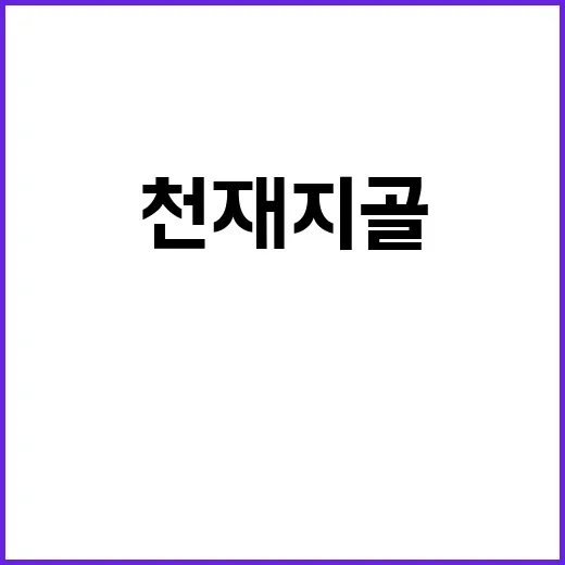 천재지골