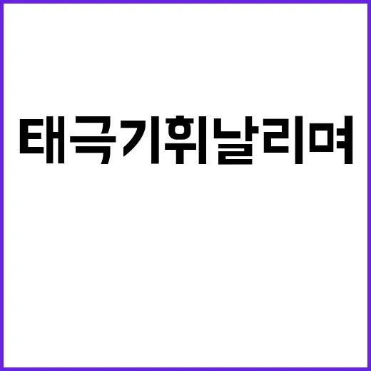 태극기 휘날리며 재…