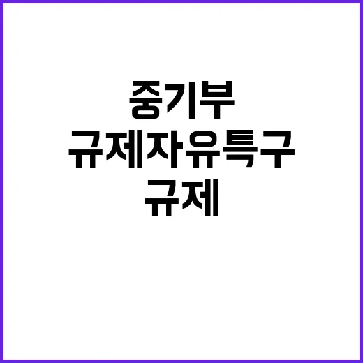 규제자유특구 중기부…