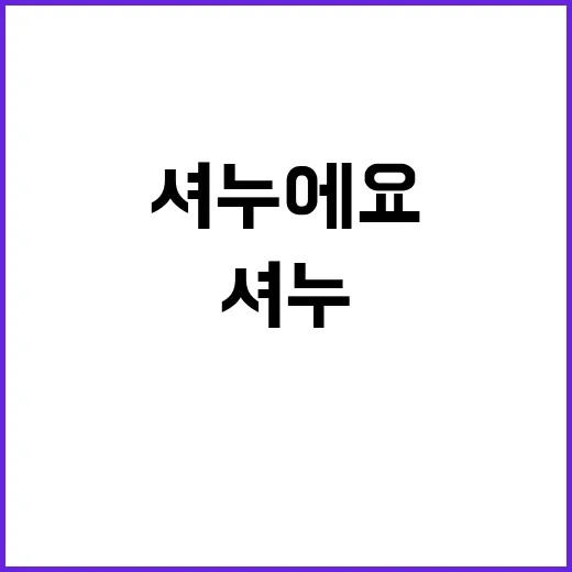 셔누에요 최근 활동…