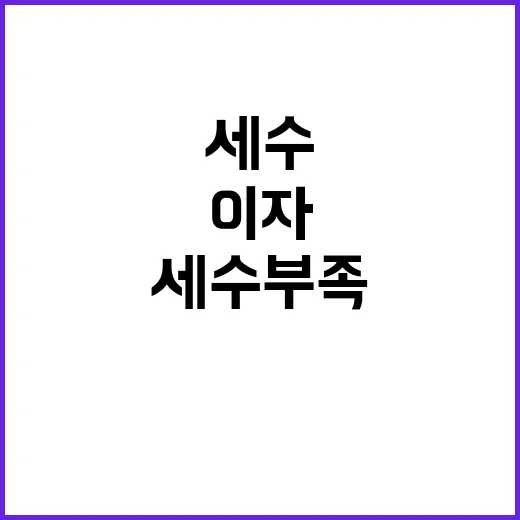 세수 부족 이자부담…