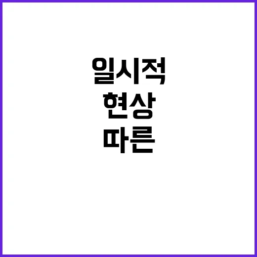 벌집꿀 부족 고온 지속 따른 일시적 현상!