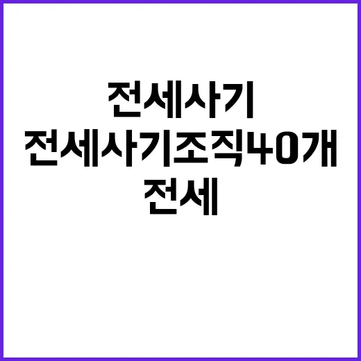 전세사기 조직 40…