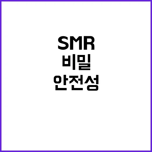 예산 2769억 원 SMR 안전성 확보의 비밀!