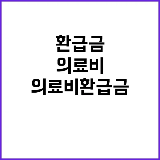 의료비 환급금 작년…