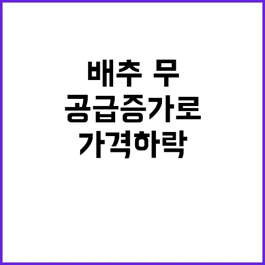 배추·무 가격 하락…