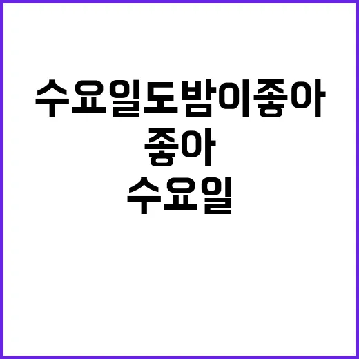 수요일도 밤이 좋아…