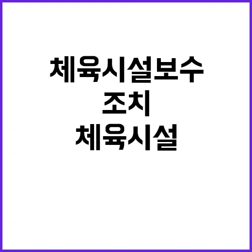 체육시설 보수 이용…