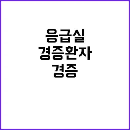 응급실 안정성 경증환자 감소로 모두 괜찮다!