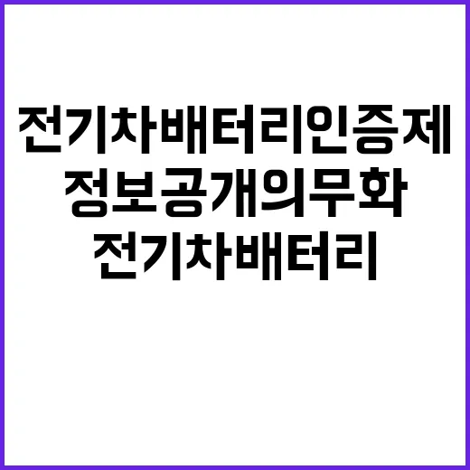 전기차 배터리 인증제 정보 공개 의무화 주목!