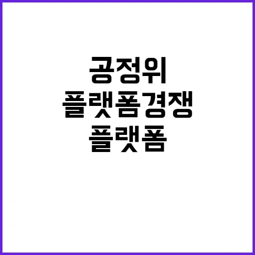 공정위 플랫폼 경쟁법 제정 결론 없다 진실!