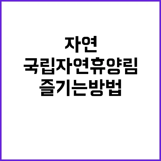 국립자연휴양림 ‘무료’로 즐기는 방법 공개!