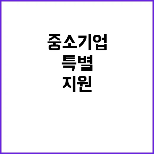 특별대출 중소기업에…