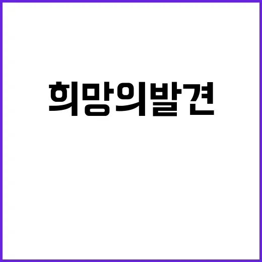 희망의 발견 후기와…