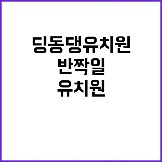 딩동댕유치원 반짝이…