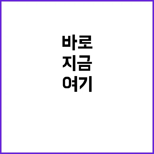 바로 지금 여기 당…