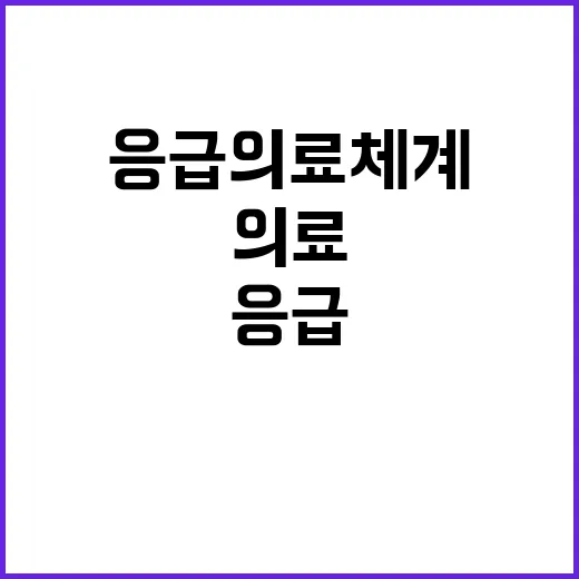 응급의료체계 소방청…