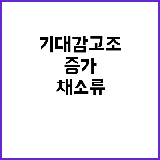 채소류 증가 수급상황 개선 기대감 고조!