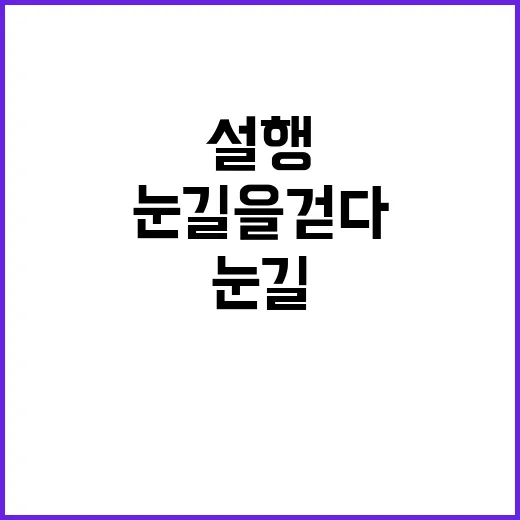 설행 눈길을 걷다 …