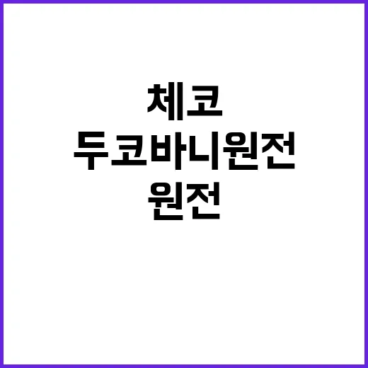 두코바니 원전 한체…