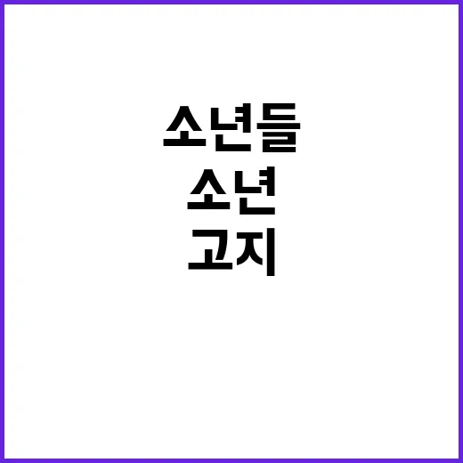 고지 위의 소년들