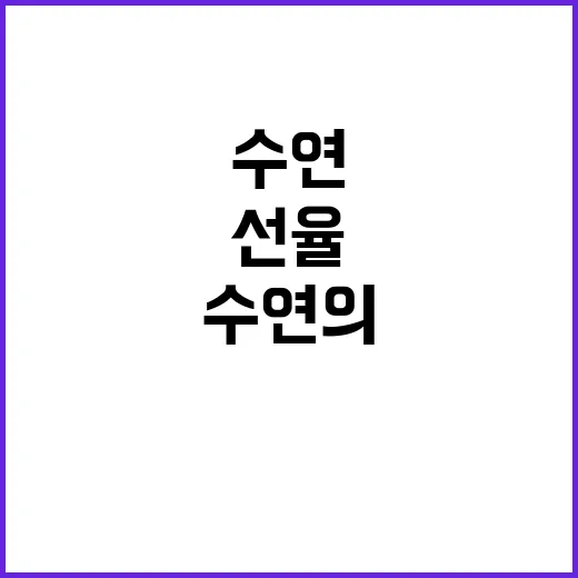 수연의 선율