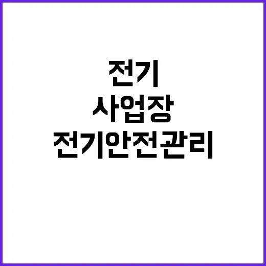 전기안전관리 사업장 700곳 실태조사 결과 공개!