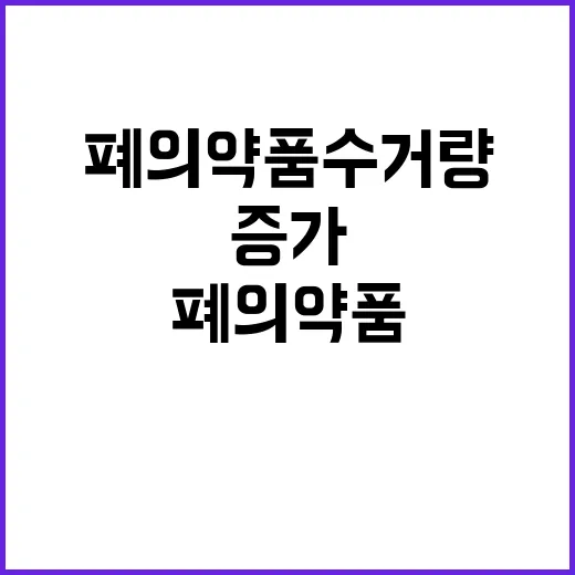 폐의약품 수거량 증가 환경부의 충격적인 사실!