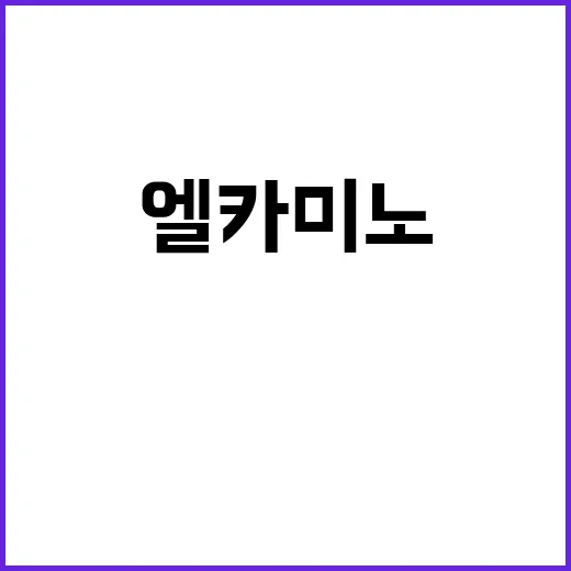 엘 카미노