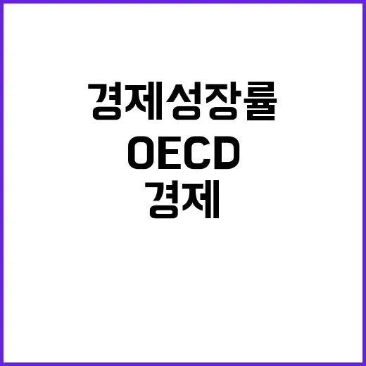 한국 경제 성장률 OECD의 긍정적인 전망 공개!