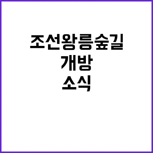 조선왕릉 숲길 10월 1일부터 개방 소식!