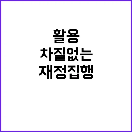 정부 재정집행 차질 없는 기금 활용 비상 계획!