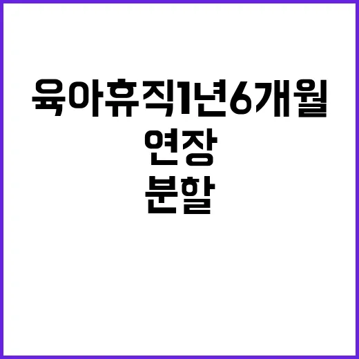 육아휴직 1년 6개월 연장 4회 분할 가능!