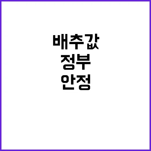 배추값 할인 계속…정부 지원 가격 안정 모색!