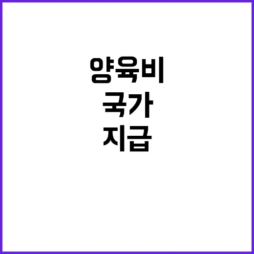 양육비 지급 국가는 당신을 보호한다!