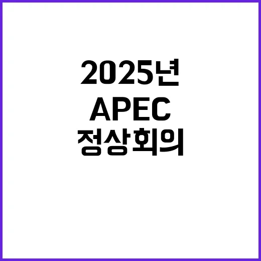 APEC 정상회의 2025년 준비 계획 드디어 확정!