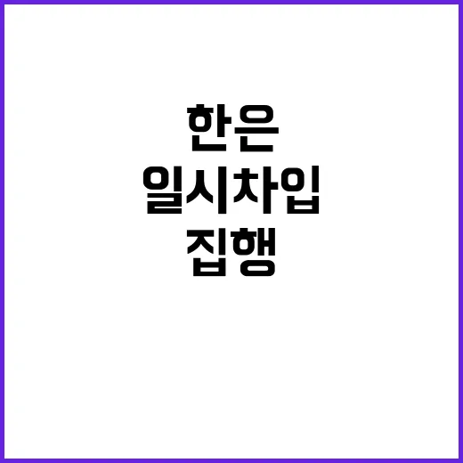 세입세출 집행 한은…