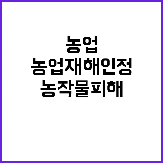 농작물 피해 농업재…