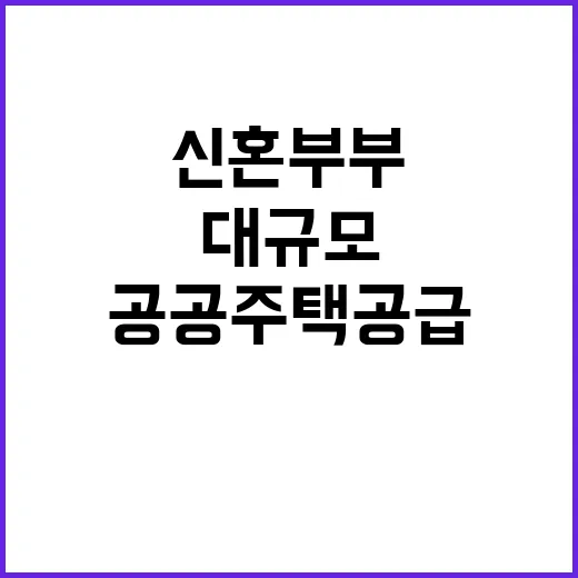 공공주택 공급 신혼…