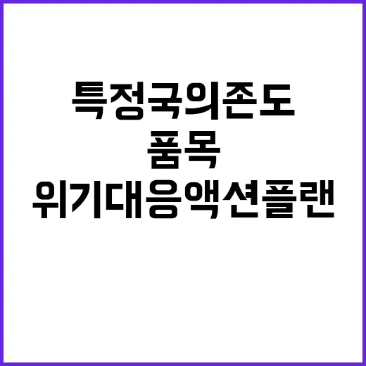 위기대응 액션플랜 …