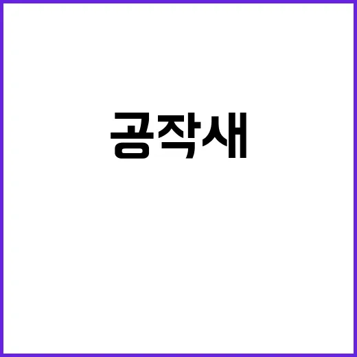 공작새 비밀 이야기…