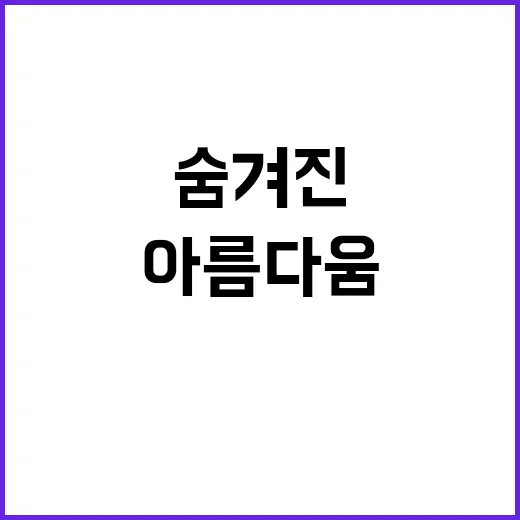 건원릉 억새의 숨겨…