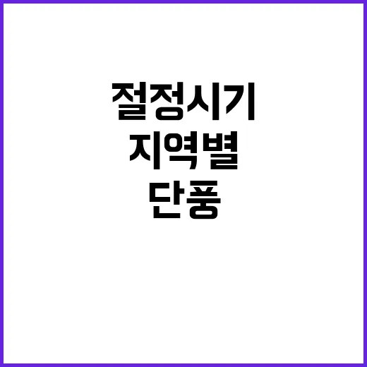 단풍 절정 시기 지…