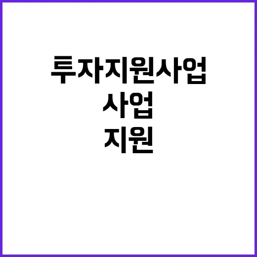 “투자 지원사업 복…