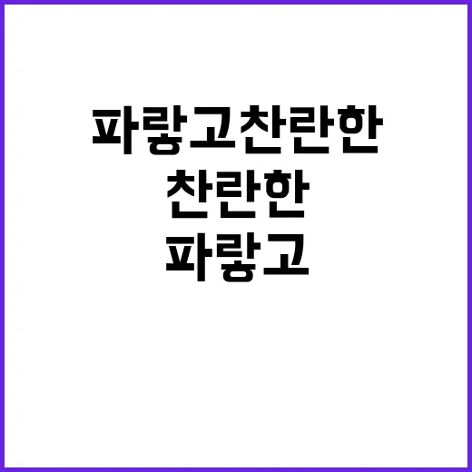 파랗고 찬란한 강의…